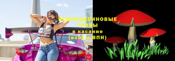 СК Белокуриха